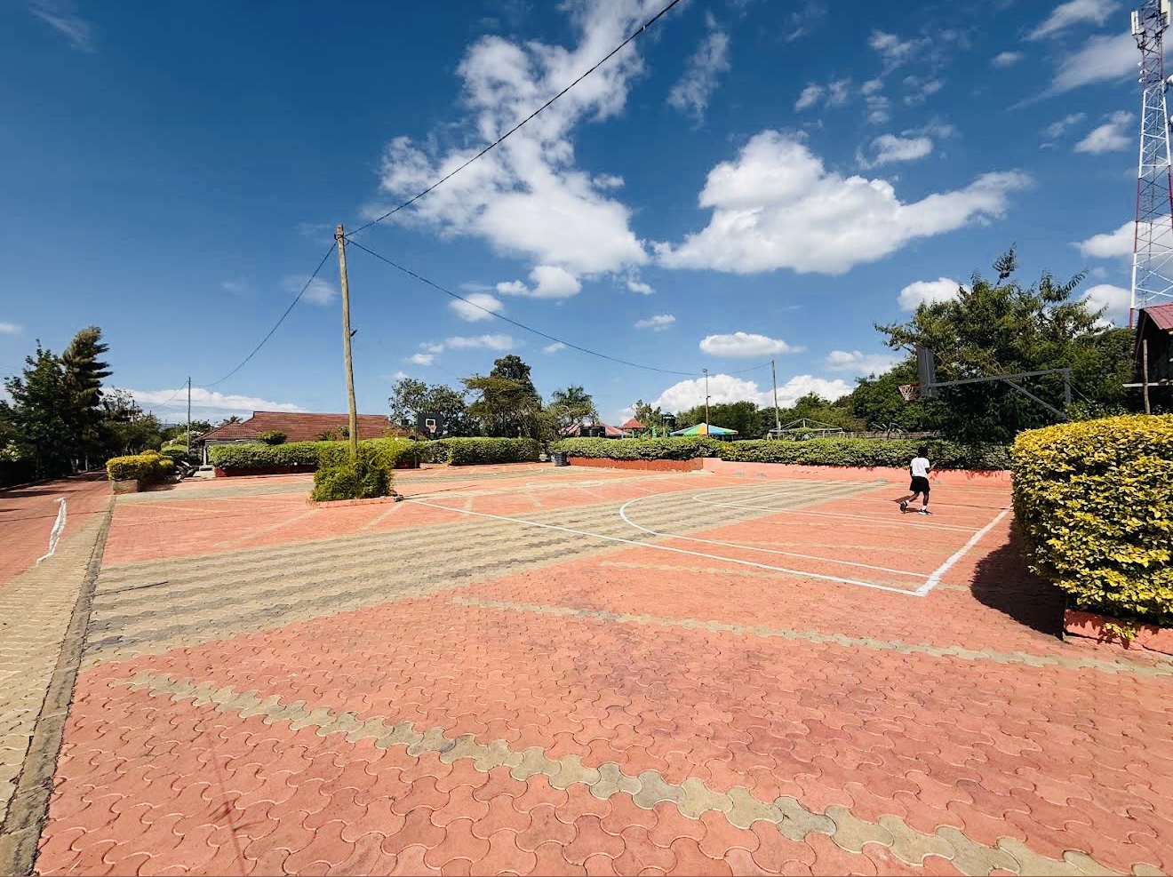 Savannah Lodge gallery