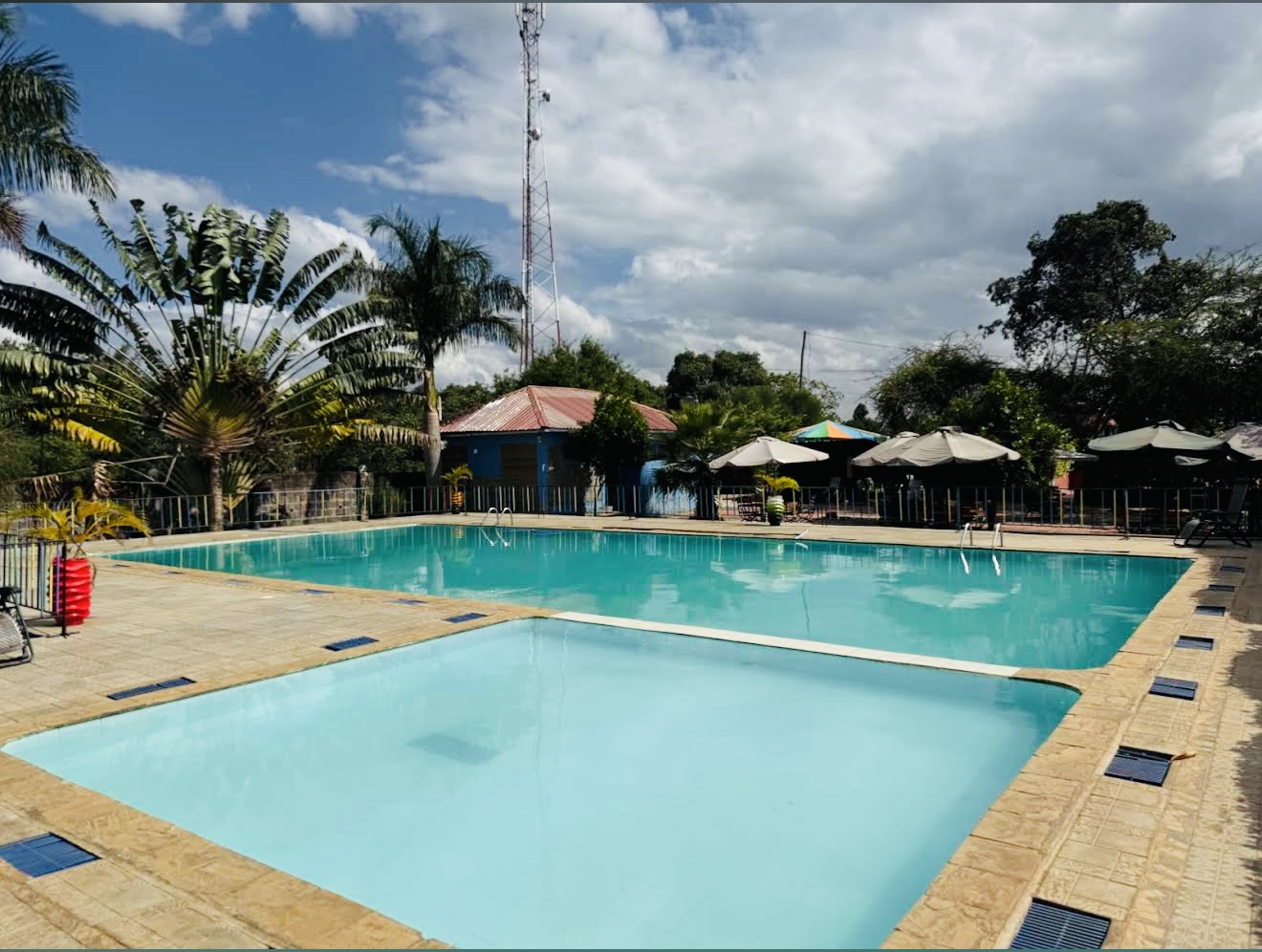 Savannah Lodge gallery